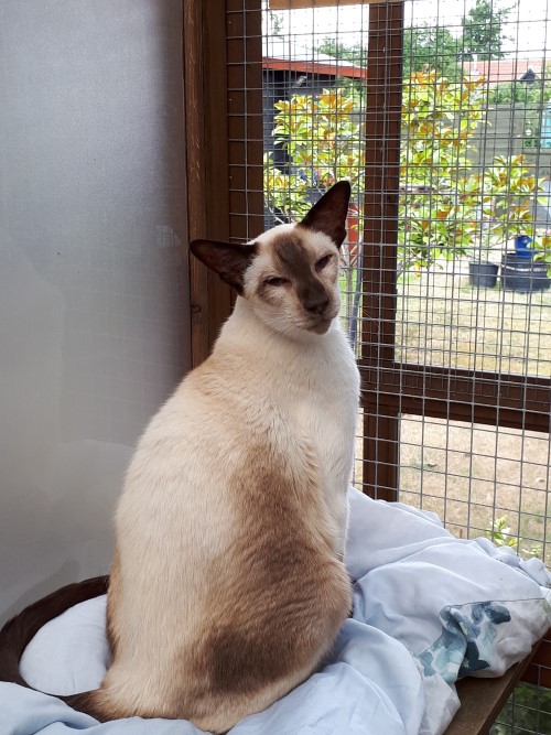 Celeste overlooking the garden