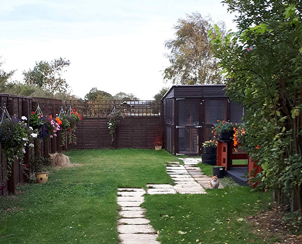 View of the garden with pens in the background